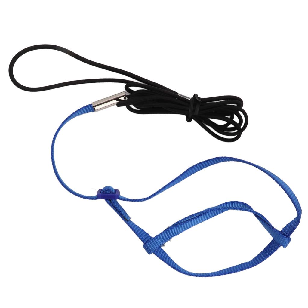 Parrot Harness Leash Adjustable Bird Flying Harness Traction Rope with Hook for Birds Parrots
