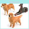 Large Realistic Pet Dog Models Adorable Shiba Inu Golden Retriever And Doberman Tabletop Decoration Toy