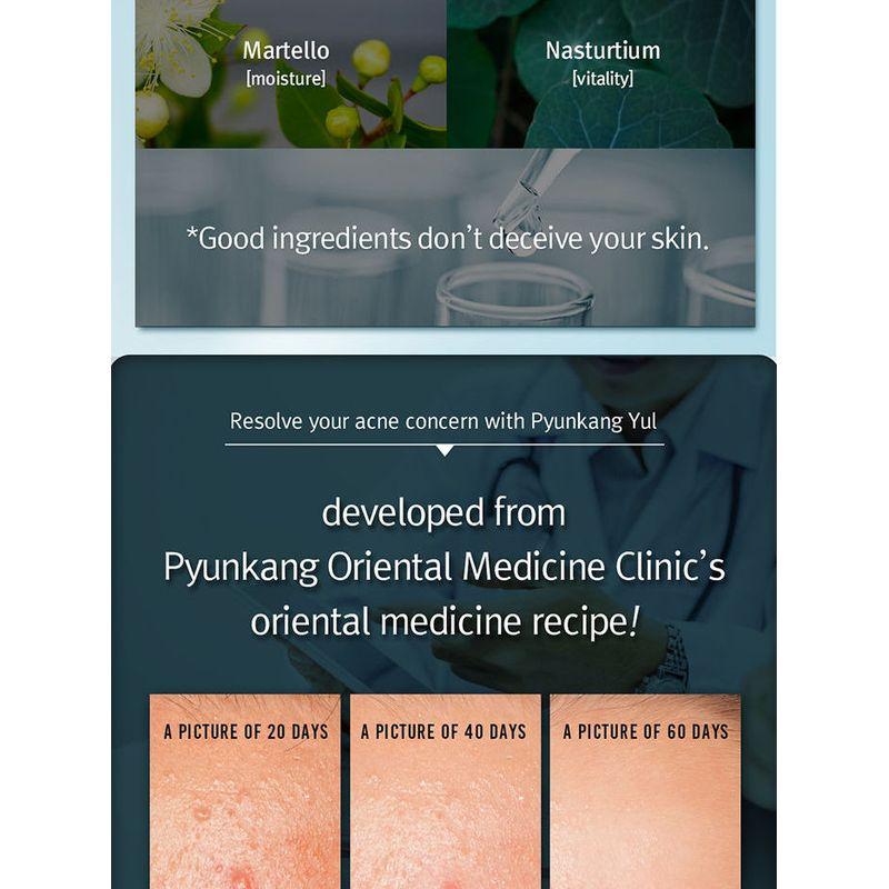 Pyunkang Yul Acne Toner 150ml