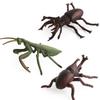 Allomyrina Dichotoma Model Pvc Realistic Display Scene For Science Education And Collectors
