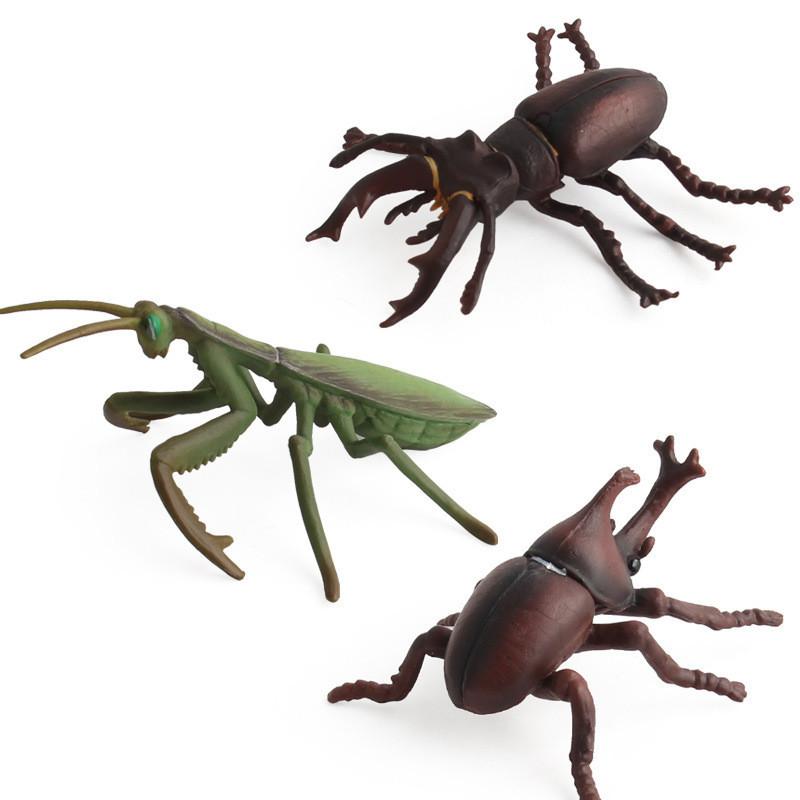 Allomyrina Dichotoma Model Pvc Realistic Display Scene For Science Education And Collectors