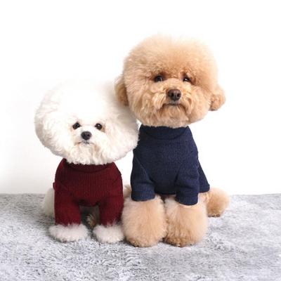 Sweet Golji Neck Polar Puppy Winter Clothes