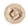 New Autumn and Winter Women's High End Knitted Outdoor Warm Ear Protection Hat Fashionable Knitted Casual Beret