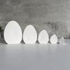 Easters Eggs Mould Blank Eggs Silicone Molds Plasters Molds Ornament Molds Castings Molds Candle Molds Craft Supplies