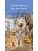 Pet Tracker Collar: Compact Cat & Dog Locator, Anti-Lost Device, Phone Finder