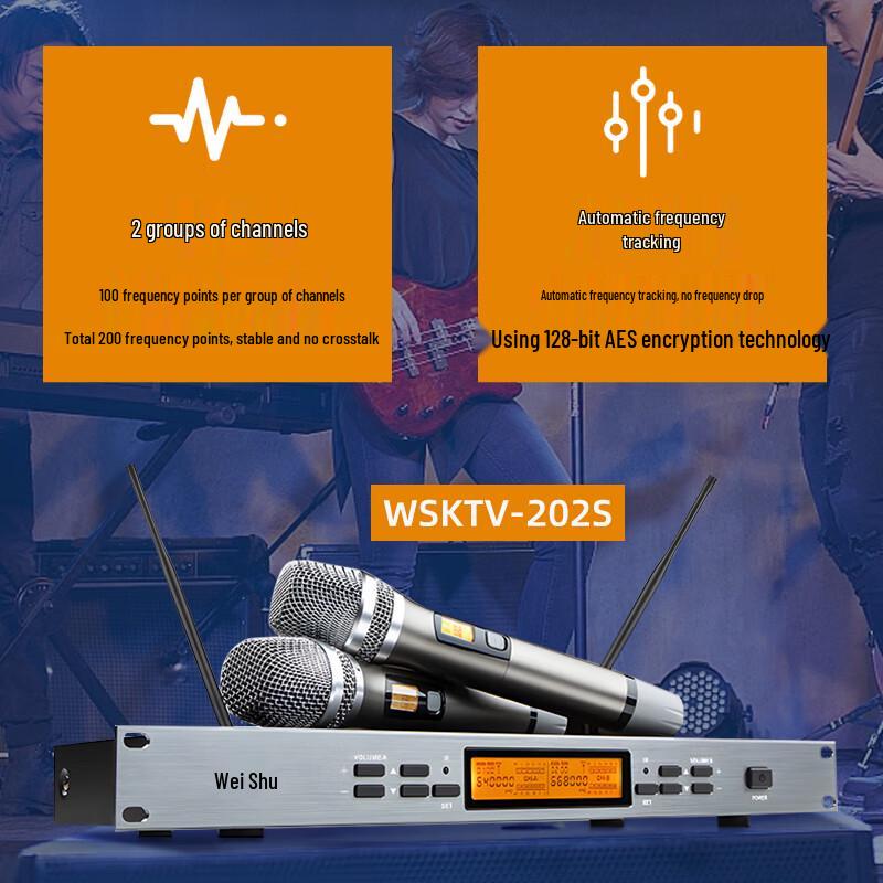 Weishu WSKTV-202 Professional Dual Handheld Wireless Microphone System (CN Version)