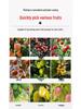 Telescopic Pole Fruit Picker: Yangmei, Loquat, Plum, Persimmon, Apricot, Peach High-Altitude Tool