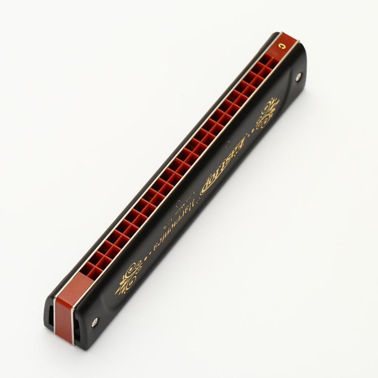 Dongfang's 22-Hole C Key Polyphonic Harmonica for Beginners and Adults