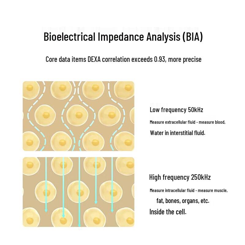 Xiaomi Smart Body Composition Scale S400pro (CN Version)