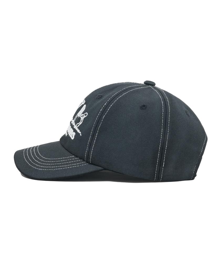 PHYSICAL DEPARTMENT Mushroom Washed Ball Cap_Charcoal