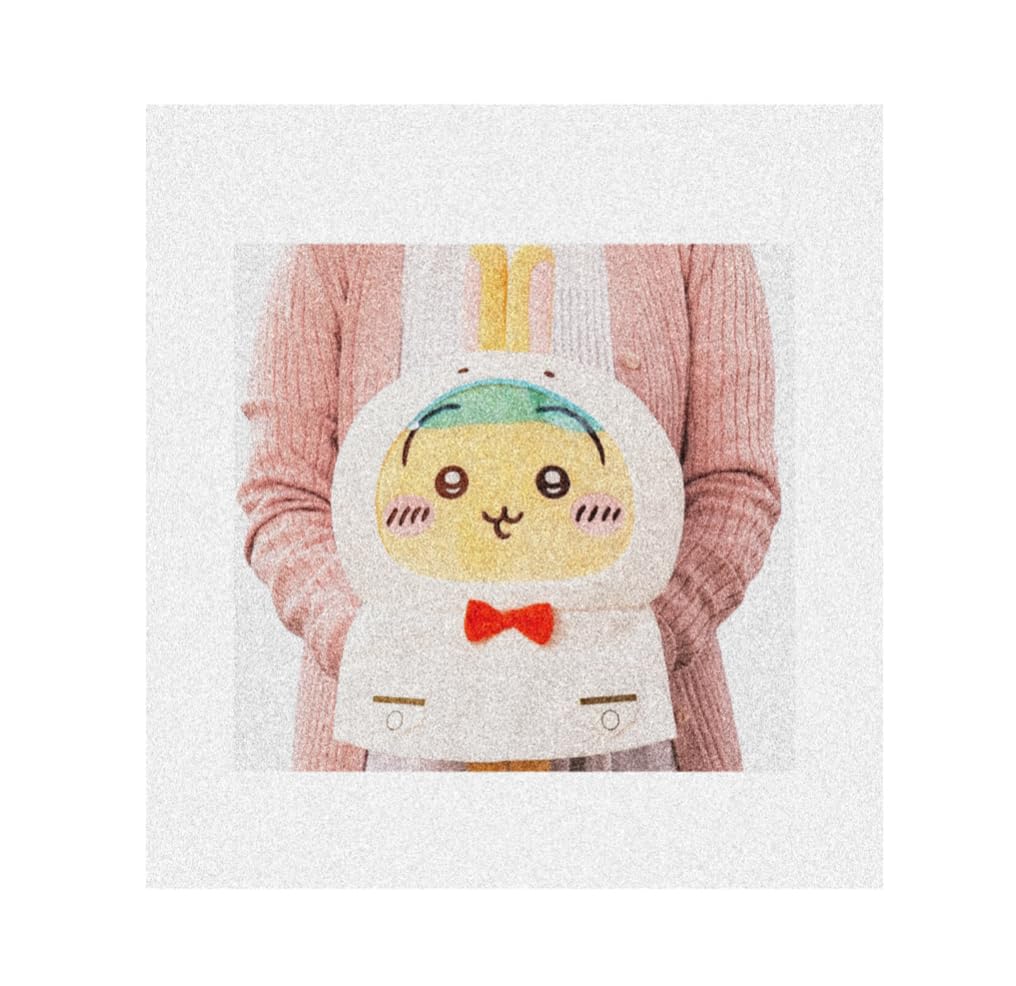 

Chiika Rainy Day Big Plush Official Cute Merchandise Toy, Approx. 30cm, (Rabbit)