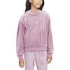 Sweatshirt Sportswear Gray Purple Red Teenagers FZ5588-523