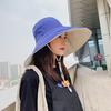 Summer Korean-style Versatile Travel Sun Hat, UV Protection, Wide-brimmed Women's Hat, Japanese-style Double-sided Fisherman Hat for Women