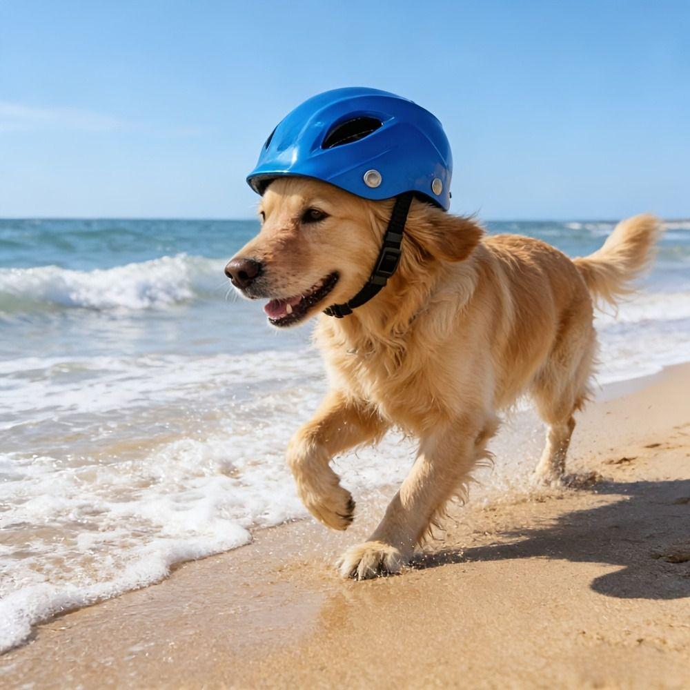 Adjustable Dog Helmet Comfortable Fit Cat Locomotive Helmet Fashion Dog Riding Helmet Traveling