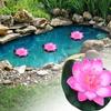 7pcs/set Realistic Lotus Flower 10cm Simulation Lotus Decorative Artificial Lotus Plant  Pond