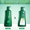 100-Year Runfa Oil Control Amino Acid Shampoo