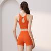 JYL Yoga Shorts Trousers Suit Summer Hip Lifting Fitness Shorts High Waist Quick Dry