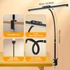 LED Touch Control Eye-Caring Clamp Desk Lamp for Office Home 5 Color Stepless Dimming 10W Eye-Care Architect Table Lamp PC Light
