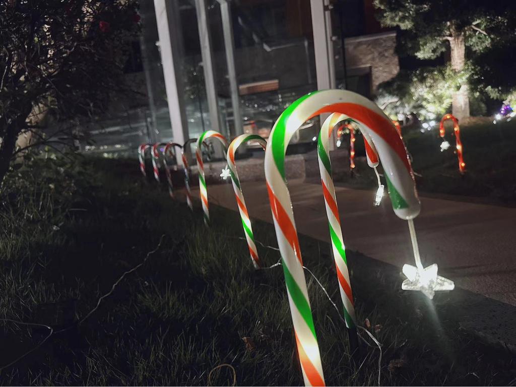 Solar-Powered Christmas Star & Snowflake Ornaments with Candy Cane Light Stakes