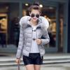 Women's Plus Size Short Down Cotton Jacket with Big Fur Collar