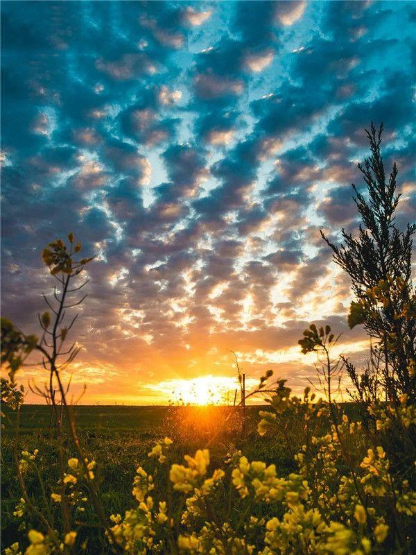 

RUOPOTY цифровая живопись солнце падающий цветок море холст картина настенное искусство DIY цифровая живопись пейзаж костюм современная гостиная 40x50cm NO Frame