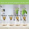 1/2/4Pcs Avocado Seed Starter Vase Holders Avocado Seed Growing Triangle Metal Stand Carrots, Sweet Potatoes Growing Stand