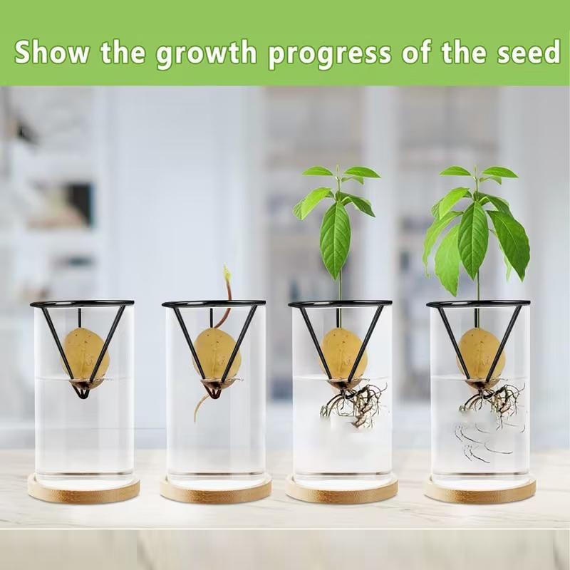 1/2/4Pcs Avocado Seed Starter Vase Holders Avocado Seed Growing Triangle Metal Stand Carrots, Sweet Potatoes Growing Stand