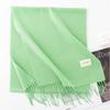 New Solid Color Maillard Imitation Cashmere Scarf for Women Autumn and Winter High End Warm Shawl Simple Scarf