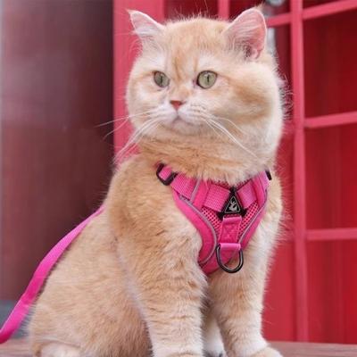Conjuntos de Coleira e Peitoral Ajustáveis para Gatos Estilo Colete Malha Refletiva Peitorais para Animais Kawaii Respirável Acessórios para Cães Caminhada