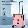 Professional Mini Beauty & Makeup Artist Travel Case
