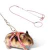 Pet Adjustable Soft Harness Leash Bird Parrot Hamster Ferrets Rat Pet Pig Leashs Pet Anti Loss Leashs To Avoid Running Around