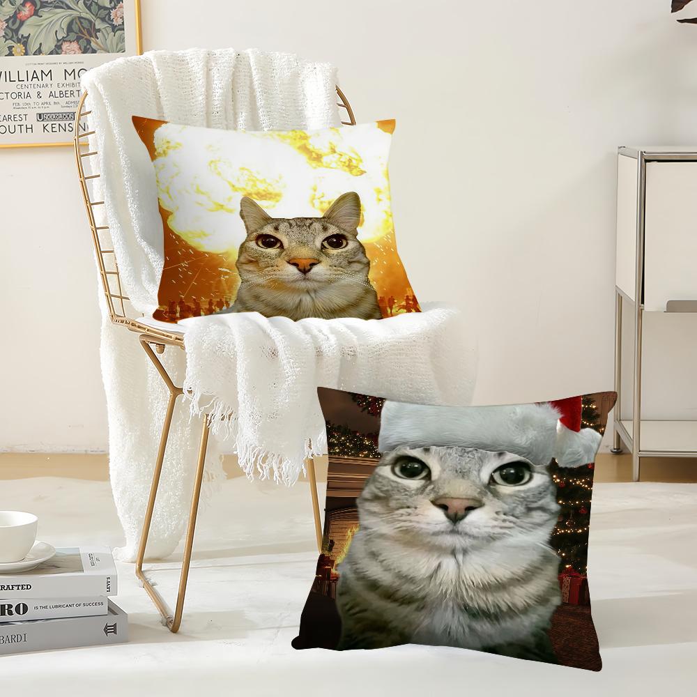 Cat Meme Kawaii Animal Funny Pillow Case Suitable For Bedrooms Living Rooms Cars Home Decoration