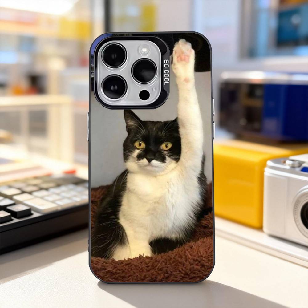 Funny Cat Memes Cute Phone Case For iPhone 11,12,13,14,15,16,17,Pro,Max,Plus,E,Air,Mini IMD Matte Black