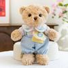 Vincent DIY Bear Plush Toy - Removable Clothes, Children's Gift
