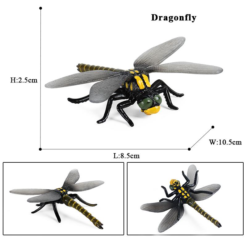 Oenux New Insect Animals Model Butterfly Bee Dragonfly Mantis Ant Snail Action Figures Jouet Collection Decor Kids Education Toy