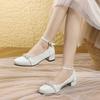 National style Chinese hanfu shoes women's thick heel horse dress shoes fairy fairy cheongsam high heels female princess thick heel single shoes