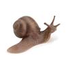 Puzzle Science Micro Landscape Snail Model Garden Decoration Snail Statue Simulation Insect