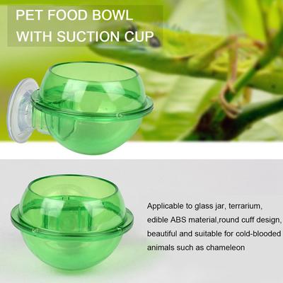 Suction Cup Feeder Food Water Storage Pets Drink Container Buy At