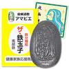 Das Eisen-Ei Dünn aus Iwate Nanbu Eisenornament [Amabie Typ] Präfektur, Eisenwaren, Nahrungsergänzungsmittel, Kochgeschirr, Amulett, Gegenstand, Briefbeschwerer,