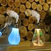 Creative Design Bulb Shape Humidifier Compact Size Portable Humidifier  Office Space