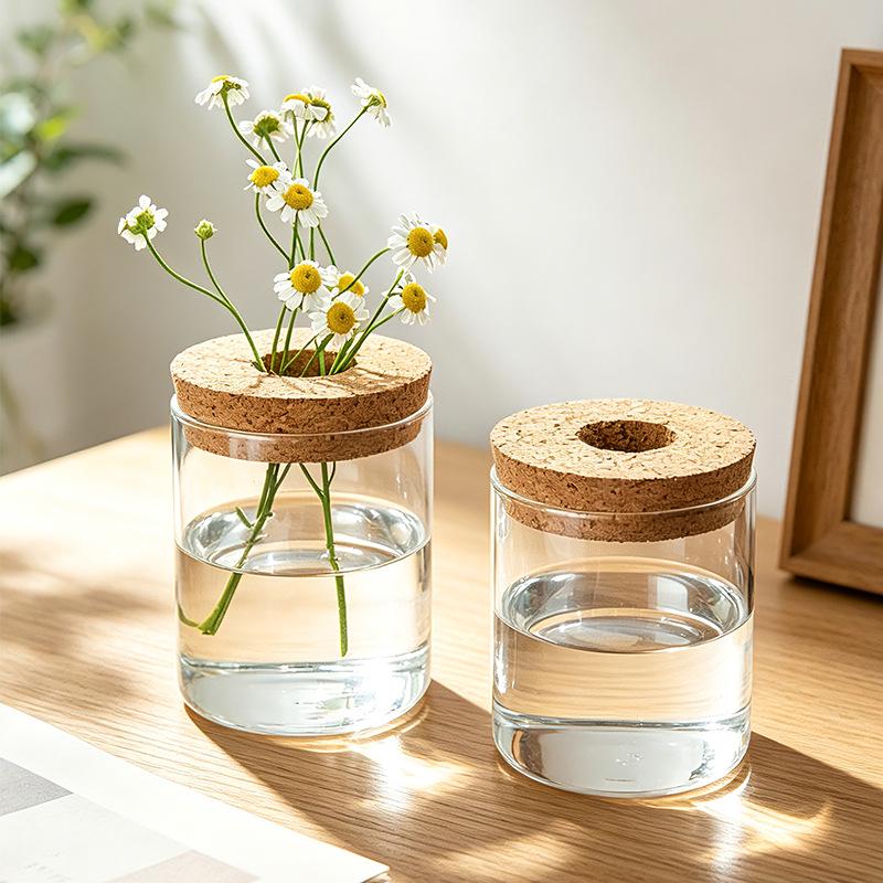 Desktop Borosilicate Glass Mini Ornament: Micro Landscape Hydroponic Plant Jar & Multifunctional Storage Bottle