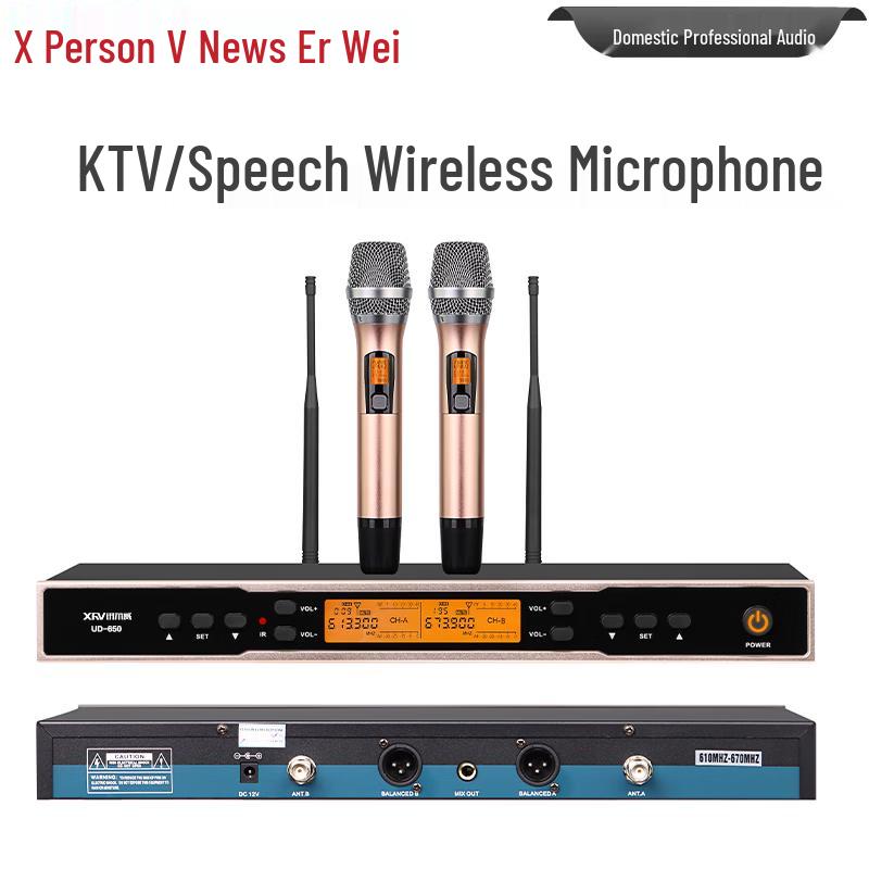 Xun Er Wei Professional Wireless Microphone System (CN version)