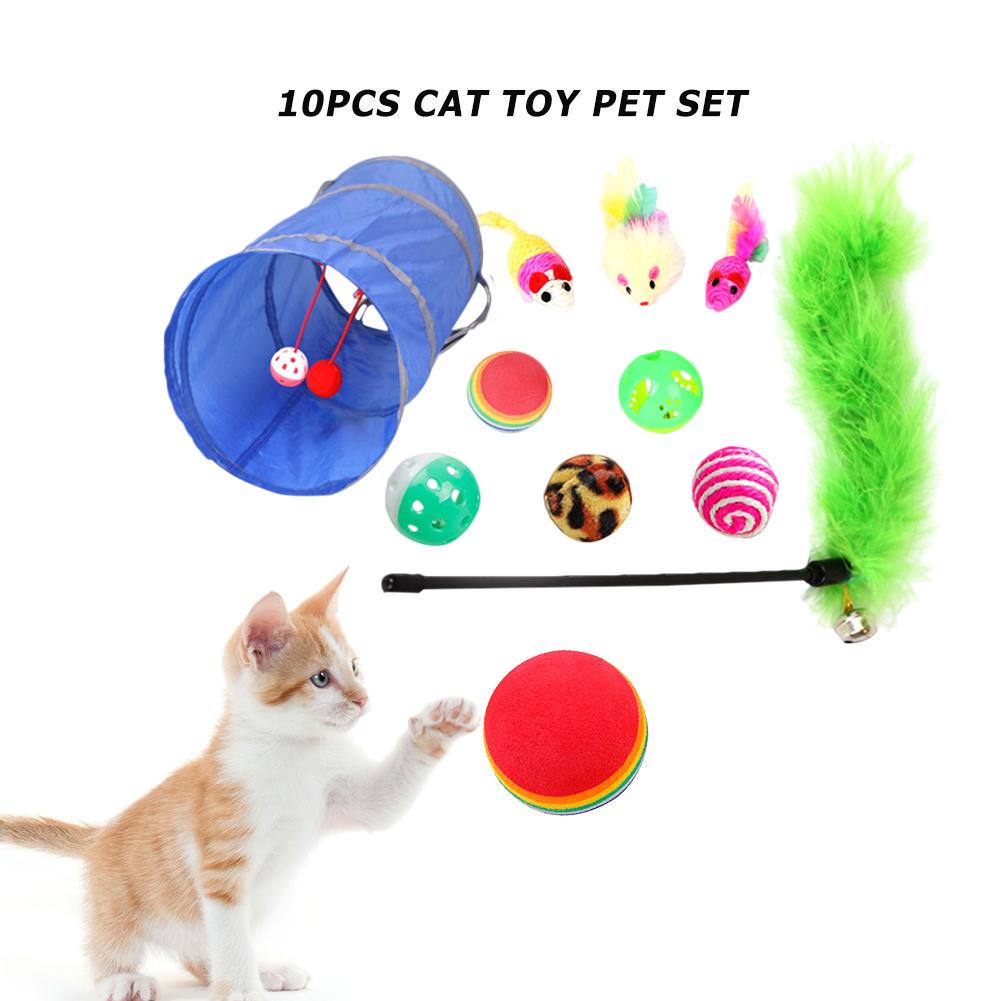 dog cat toy
