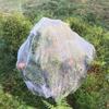 Fruit Tree Pest Control Net Bird Proof Cover Bag Zippered Blueberries Balcony Tomatoes Fruit Fly Mosquito Control Transparent
