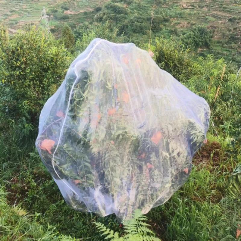 Fruit Tree Pest Control Net Bird Proof Cover Bag Zippered Blueberries Balcony Tomatoes Fruit Fly Mosquito Control Transparent
