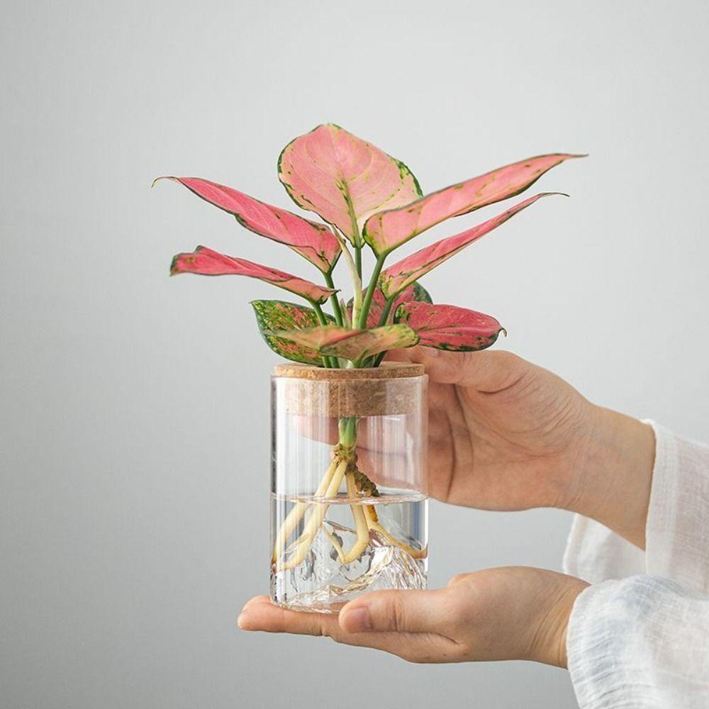 Glass Hydroponic Flower Holder Thickened Mountain Viewing Bottle Flower Pot Fish Tank