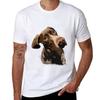 Gerunisex Pointer Original Illustration Tshirt Breathable Mesh Panel Tshirt
