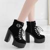 Women Boots Platform Buckle Boot Winter Footwear Thick Heel Autmn Boots With Zipper Ankle Strap Black Suede Gothic Lace Up