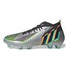 adidas Predator Edge.1 FG Silber Metallic Schwarz Unisex Sneaker Core-Black Team-Solar-Green HR1573