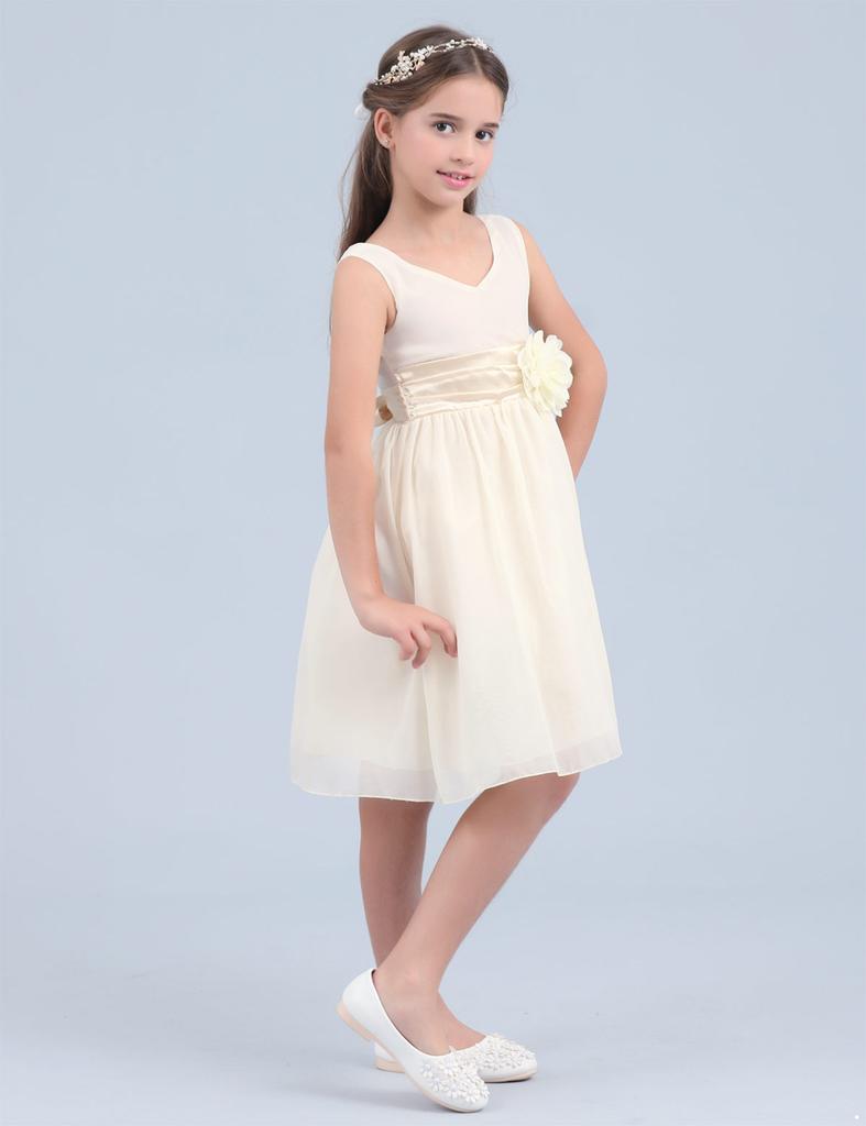 Kids Girls Princess Dress V Neck Flower Tutu Dress Pageant Junior Prom Gown Wedding Bridesmaid Evening Party Dress